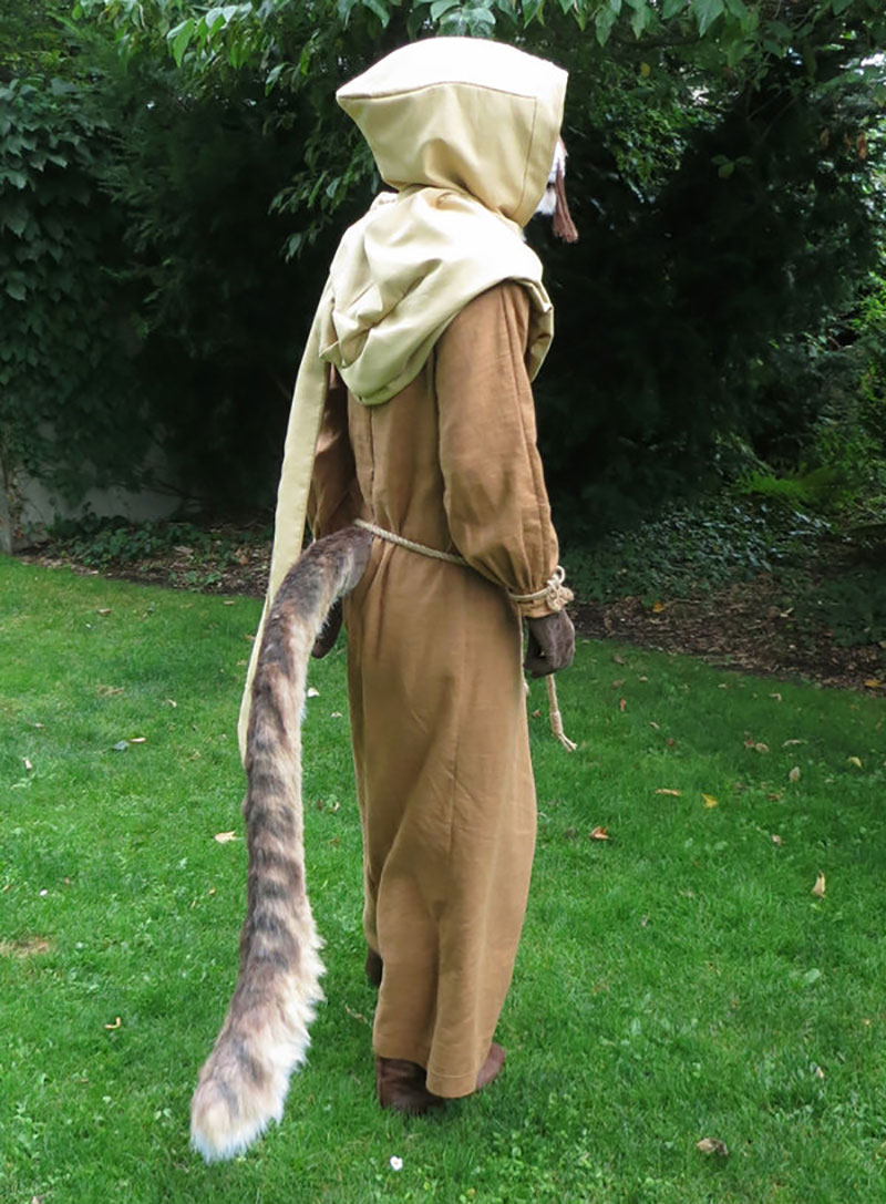 Illustration for article titled Khajiit Has Cosplay If You Have Coin...